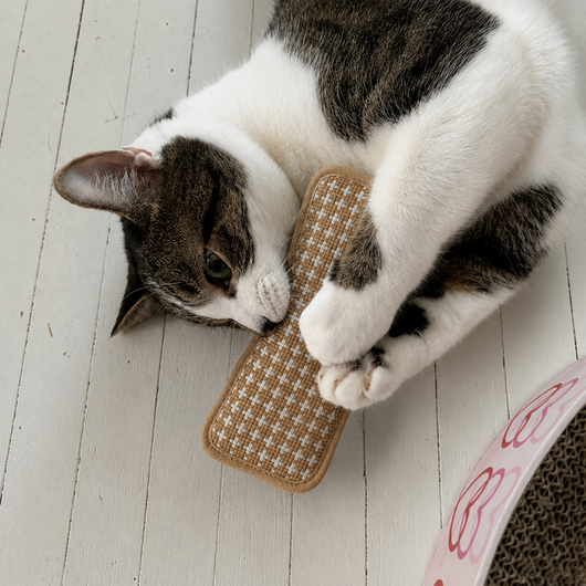 Organic Catnip Pouch