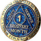 Styll Sobriety Coin (1 Month Free)