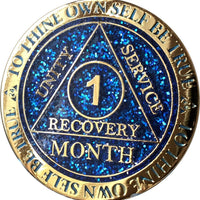 Styll Sobriety Coin (1 Month Free)