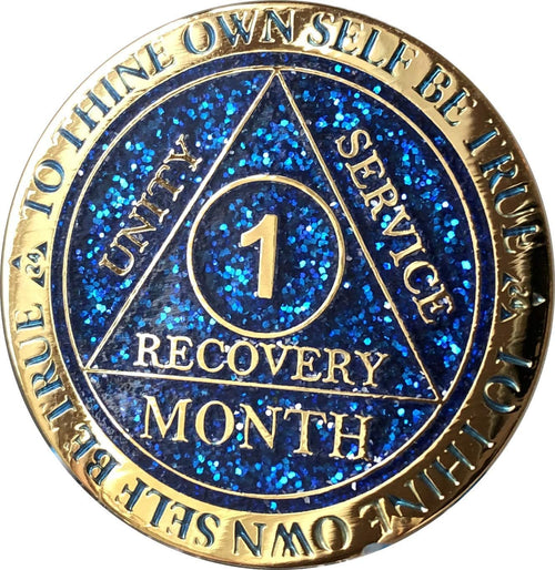 Styll Sobriety Coin (1 Month Free)